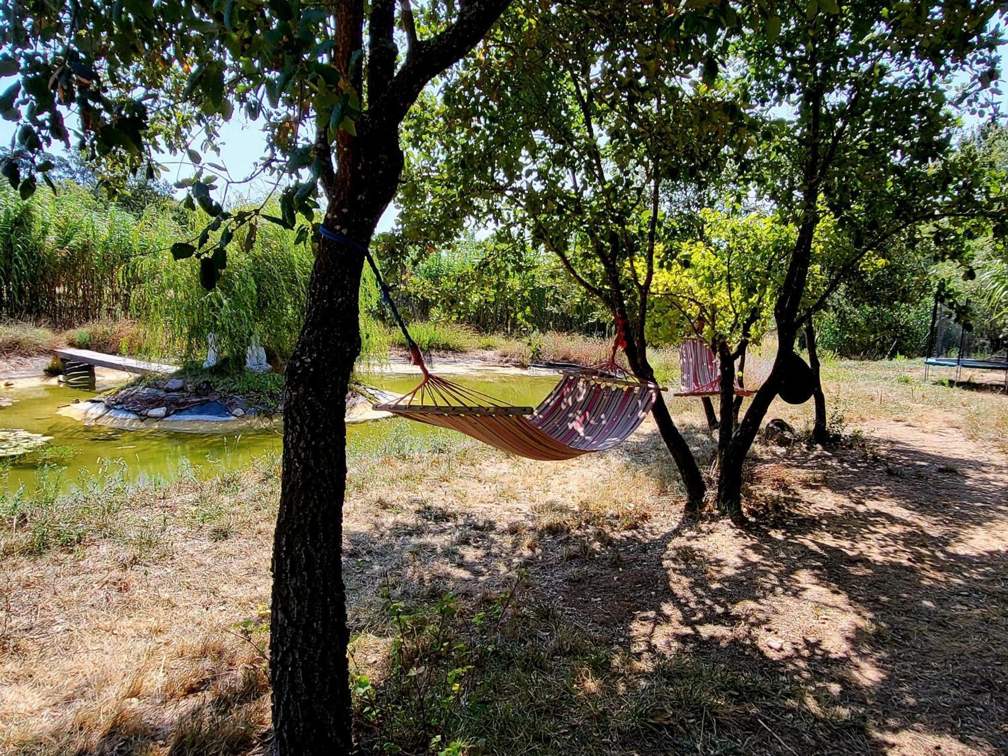 Quinta Da Choupana Hotel Tomar Bagian luar foto